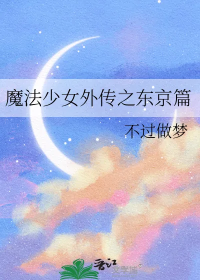 《魔法少女外传之东京篇》小说封面
