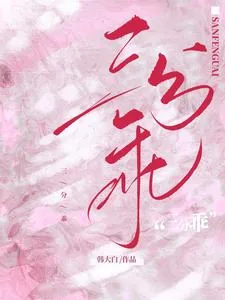 《三分乖》小说封面