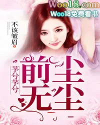 《芧兮芧兮前尘无尘》小说封面
