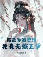 《你杀妻当赘婿，我丧夫嫁王爷》小说封面