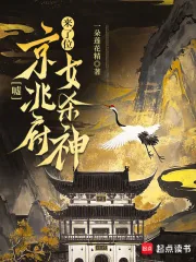 《嘘，京兆府来了位女杀神》小说封面