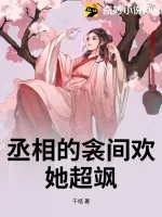 《丞相的衾间欢，她超飒》小说封面