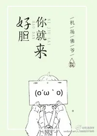 《好胆你就来！》小说封面