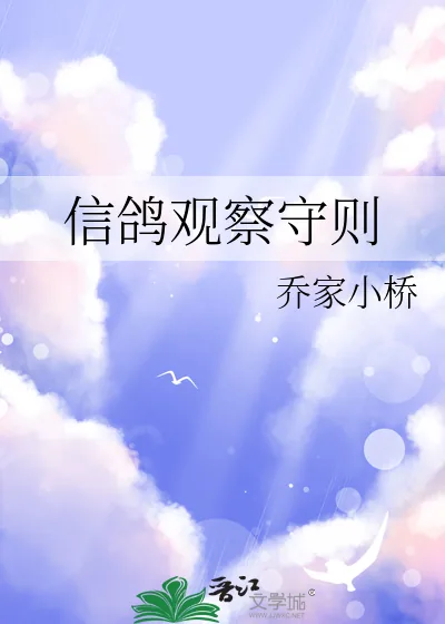 《信鸽观察守则》小说封面