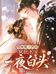 《喂她避子药后，疯批王爷一夜白头》小说封面