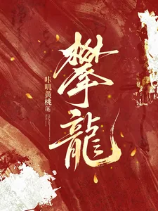 《攀龙》小说封面