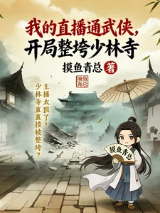 《我的直播通武侠，开局整垮少林寺》小说封面