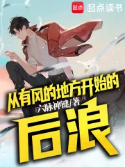 《从有风的地方开始的后浪》小说封面