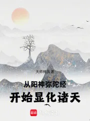 《从阳神弥陀经开始显化诸天》小说封面