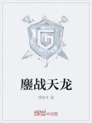 《鏖战天龙》小说封面