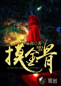 《摸金骨》小说封面