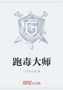 《跑毒大师》小说封面