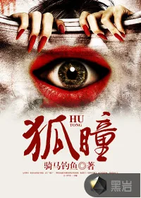 《狐瞳》小说封面