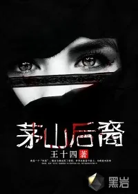 《茅山秘术录》小说封面