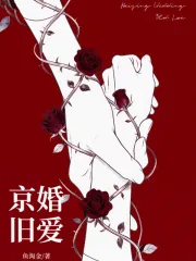 《京婚旧爱》小说封面