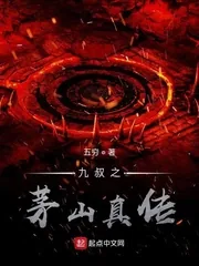 《九叔之茅山真传》小说封面