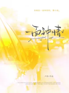 《一面钟情》小说封面