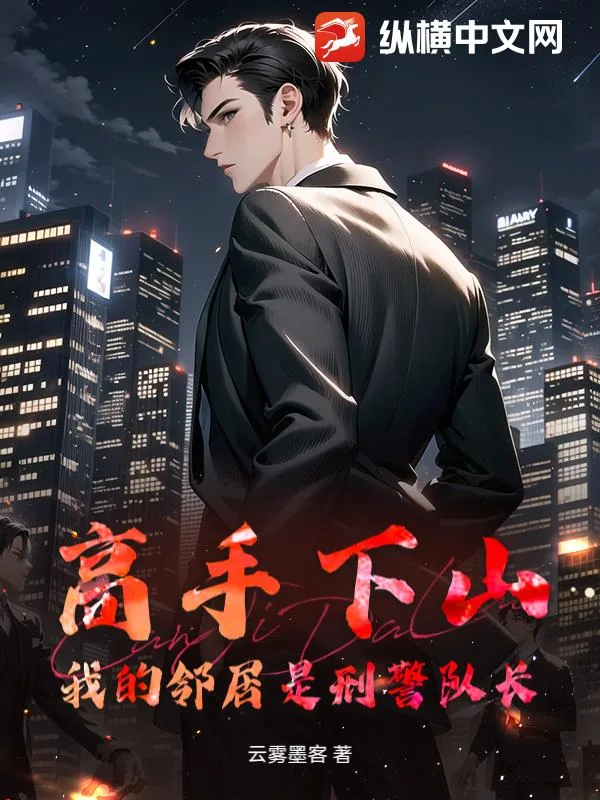 《高手下山：我的邻居是刑警队长》小说封面