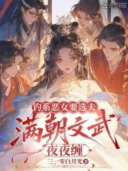 《钓系恶女要选夫，满朝文武夜夜缠》小说封面