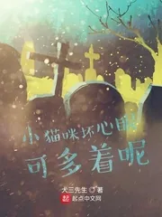 《小猫咪坏心眼可多着呢》小说封面