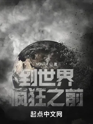 《到世界疯狂之前》小说封面