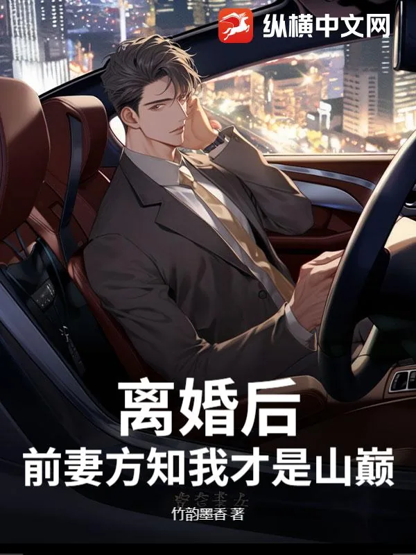 《离婚后，前妻方知我才是山巅》小说封面