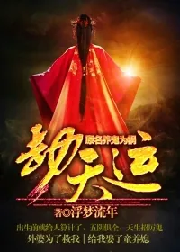 《劫天运》小说封面