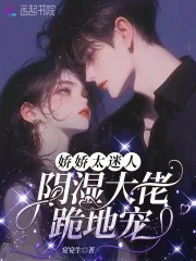 《娇娇太迷人，阴湿大佬跪地宠》小说封面