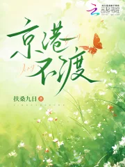 《京港不渡》小说封面
