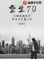 《重生70：大搞集体生产，打造天下第一村》小说封面