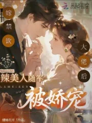 《嫁禁欲大佬后，辣美人随军被娇宠》小说封面