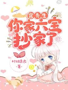 《宫先生，你家六宝抄家了》小说封面