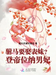 《驸马要娶表妹？登帝位，纳男妃！》小说封面