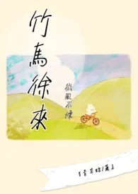 《微风不燥竹马徐来》小说封面
