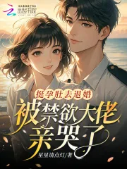 《挺孕肚去退婚,被禁欲大佬亲哭了》小说封面