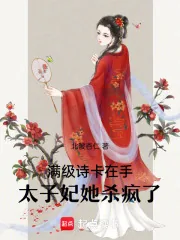 《满级诗卡在手，太子妃她杀疯了》小说封面