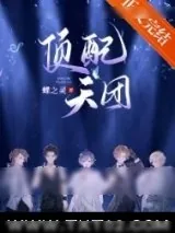 《顶配天团（娱乐圈）》小说封面