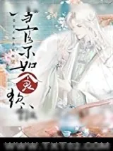 《当官不如食软饭》小说封面