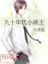 《九十年代小顽主》小说封面