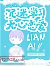 《沉迷学习，无心恋爱》小说封面