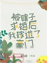《被瞎子求婚后我嫁进了豪门》小说封面