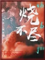 《烧不尽》小说封面
