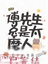《傅先生总是太磨人》小说封面