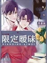 《限定暧昧》小说封面