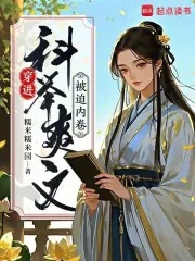 《穿进科举爽文被迫内卷》小说封面
