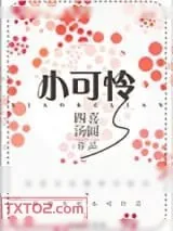 《小可怜》小说封面