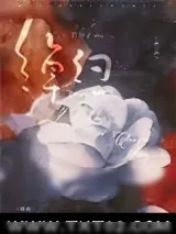 《绰约》小说封面