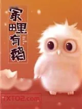 《家里有鹅》小说封面