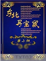 《东北寻宝鼠》小说封面