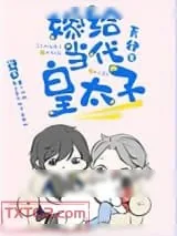 《嫁给当代皇太子》小说封面